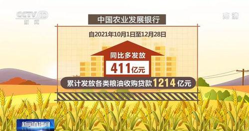 最新爆料农发行,揭秘农业发展银行改革新篇章”